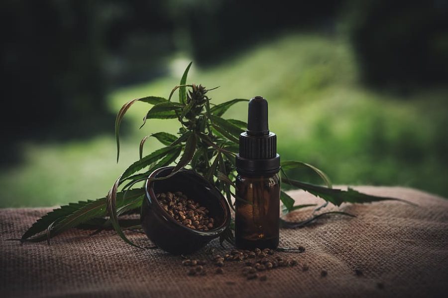 The Green Revolution: Unveiling CBD Oil’s Natural Bliss