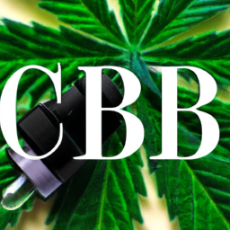 Unveiling the Natural Elixir: CBD Oil’s Revitalizing Touch!