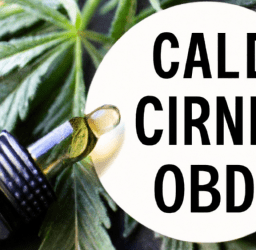 Unleashing the Healing Power: Master the Art of CBD Oil Usage