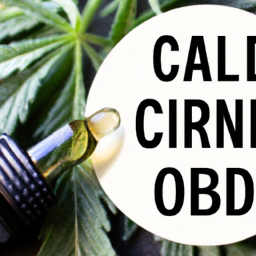 Unleashing the Healing Power: Master the Art of CBD Oil Usage