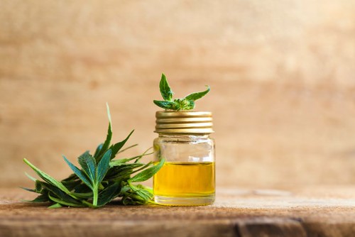 The Perfect Dose: Unveiling CBD Oil’s Optimal Usage