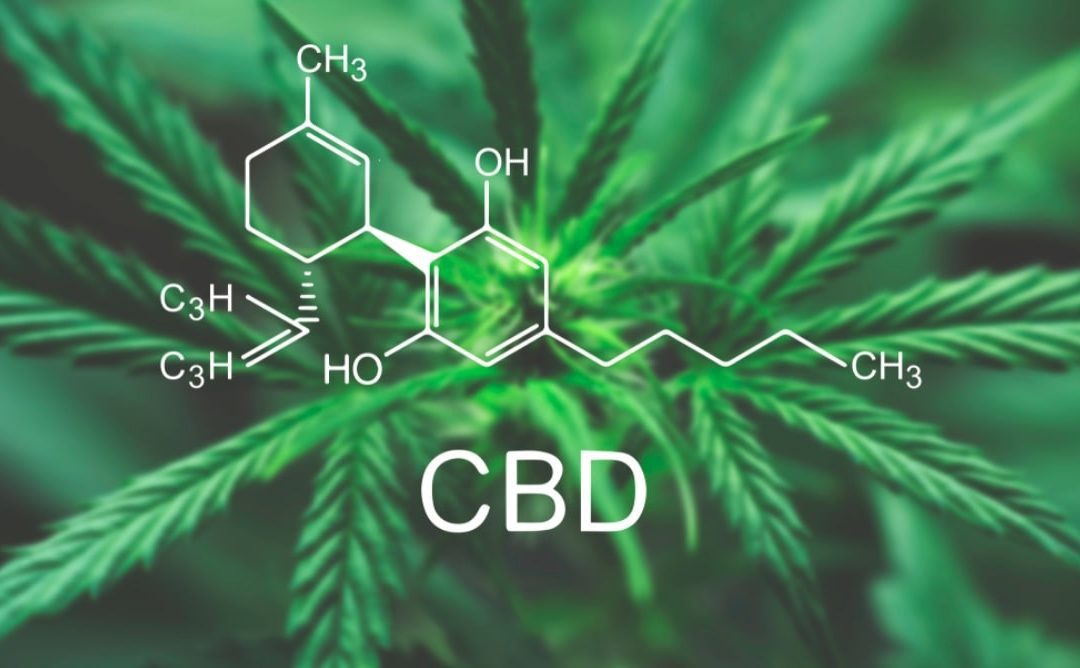 Unveiling the Sacred Potency: CBD Reviews Dismantling Myths